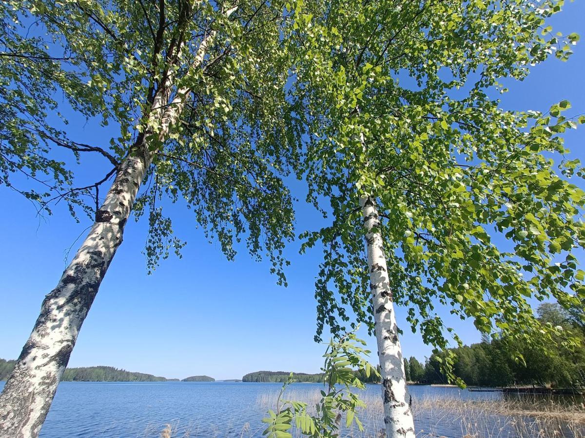 Cronin'S Guesthouse Bed & Breakfast Heinola Exterior foto